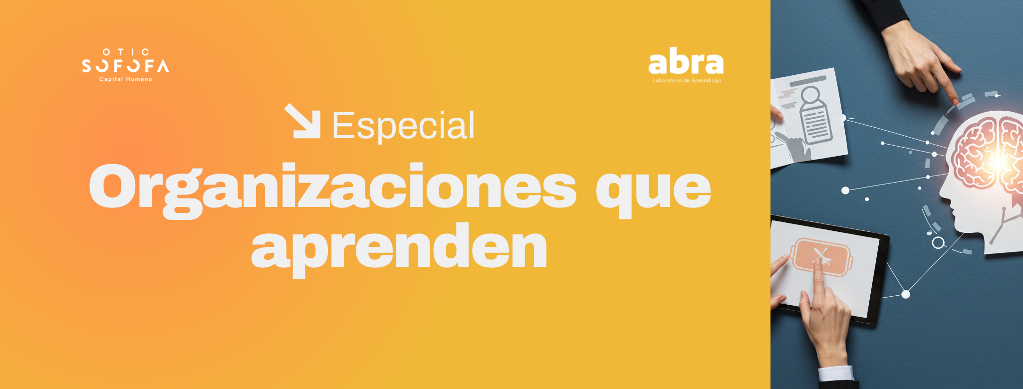 Especial organizaciones que aprenden