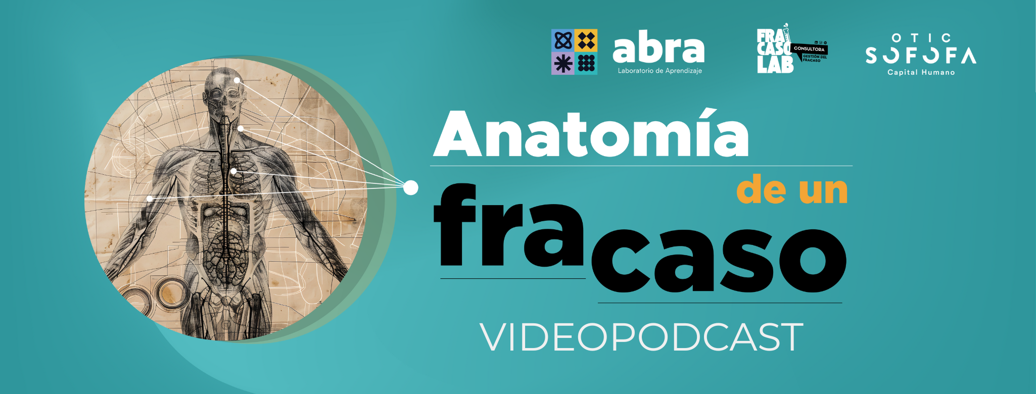Anatomía de un fracaso: la versión no contada de grandes ideas -